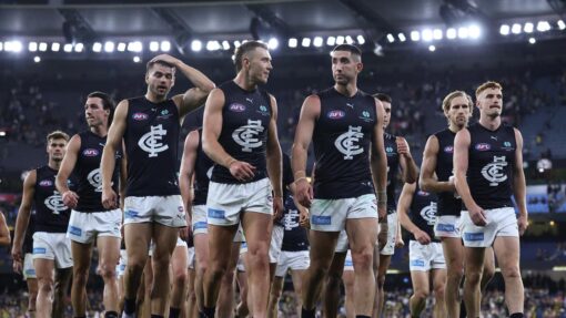 AFL TIGERS BLUES