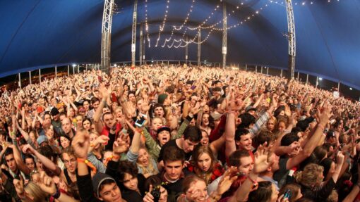 SPLENDOUR IN THE GRASS
