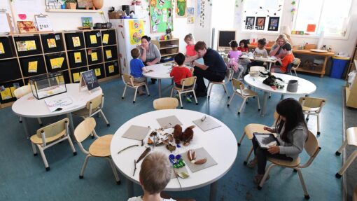 QUEENSLAND EDUCATION STOCK