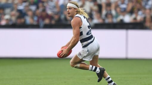 AFL CATS DOCKERS