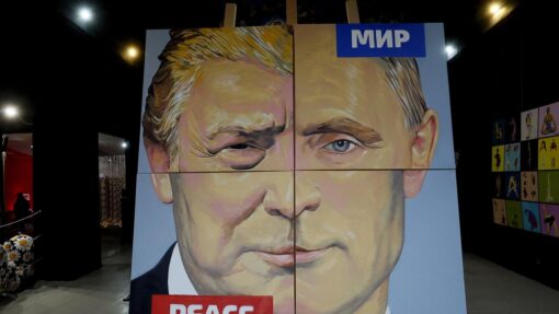 Putin backs US ceasefire plan