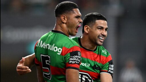 NRL DOLPHINS RABBITOHS