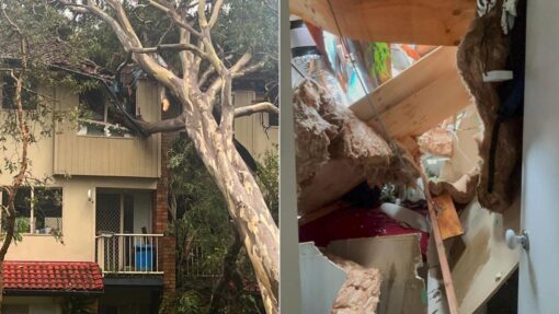 GOLD COAST HOME DESTROYED BY TREE
