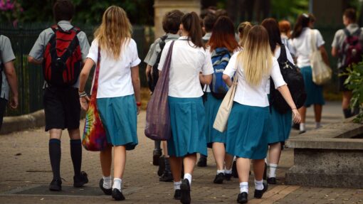 SCHOOL STOCK