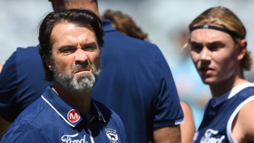 AFL SIMULATION CATS HAWKS