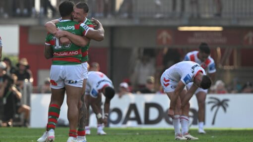 NRL DRAGONS RABBITOHS