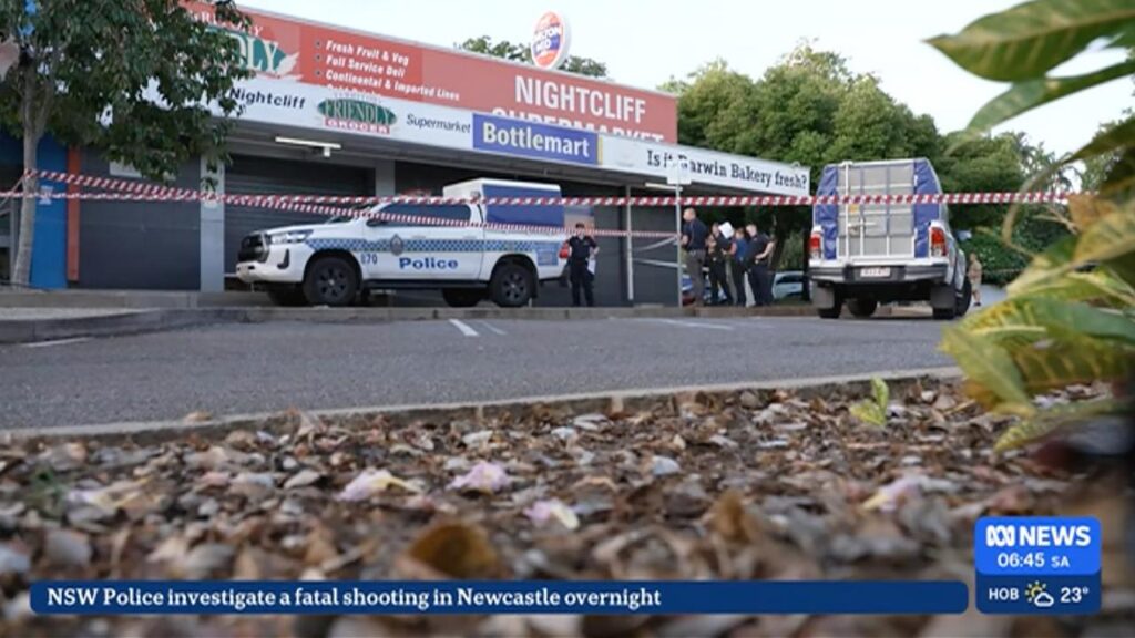 A 71-year-old man was fatally stabbed at a grocery store after confronting an alleged thief.