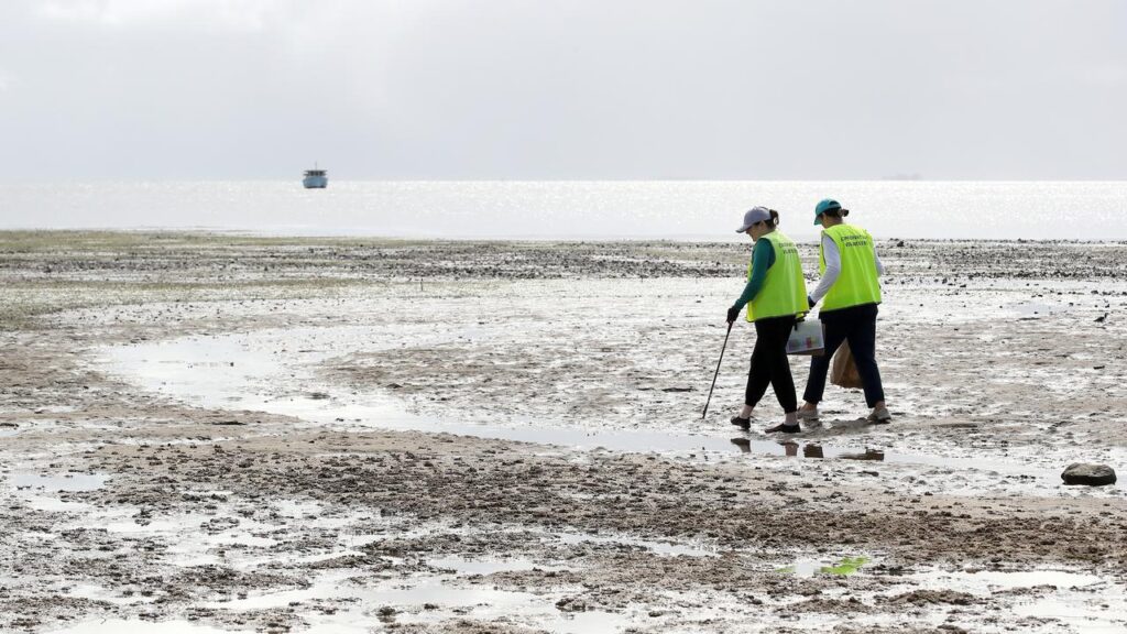 Litterbugs appear to be getting the message with research showing beach rubbish down significantly.
