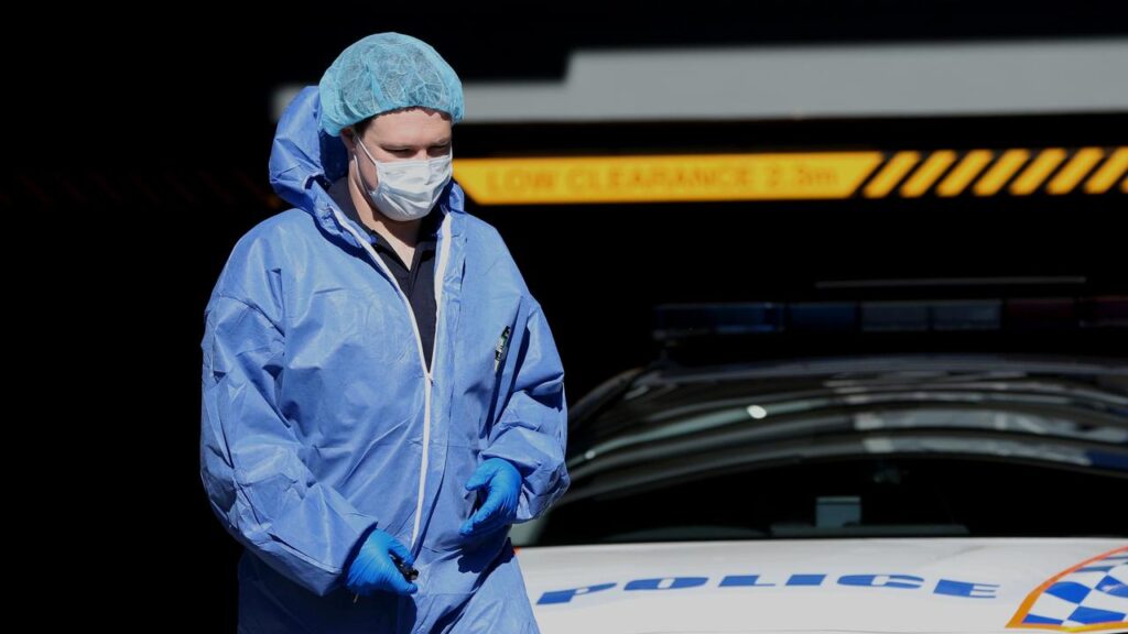 A detective has testified about smelling a dead body when a tool box was opened.