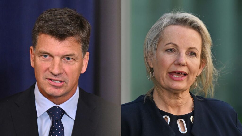 Angus Taylor and Sussan Ley have been crunching the numbers to contest the Liberal leadership.
