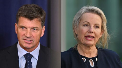 SUSSAN LEY ANGUS TAYLOR DIPTYCH