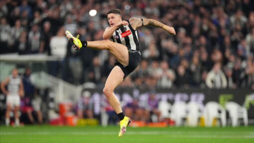 AFL MAGPIES CATS