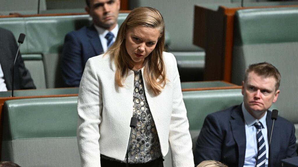Liberal MP Zoe McKenzie is locked in a three-way battle to retain the seat of Flinders.