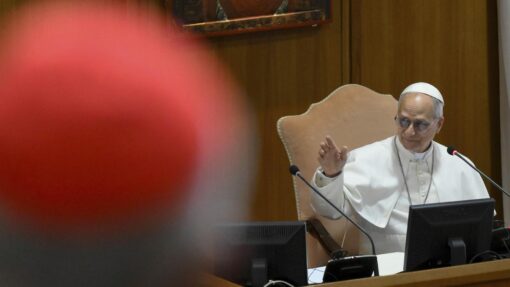 Vatican Pope