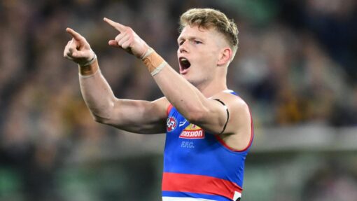 AFL BULLDOGS HAWKS