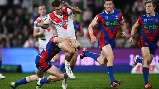NRL DRAGONS KNIGHTS
