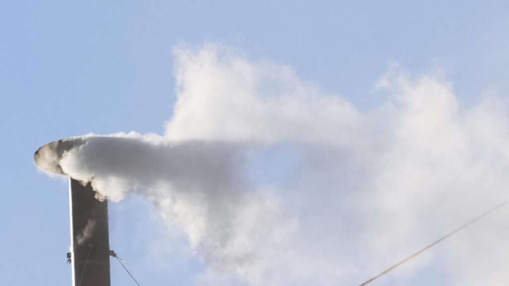 White smoke is billowing from the chimney of the Sistine Chapel, a sign a new pope has been elected.