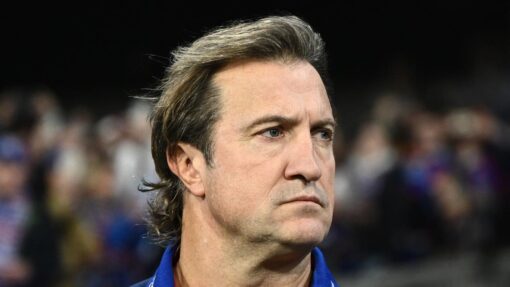 AFL BULLDOGS HAWKS