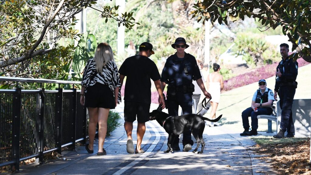 A dog’s sniff for drugs at a music festival could lead to a massive payout in a class action.