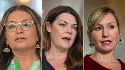 Greens leadership contest