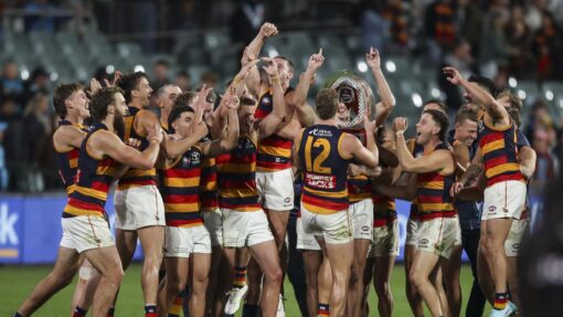 AFL POWER CROWS
