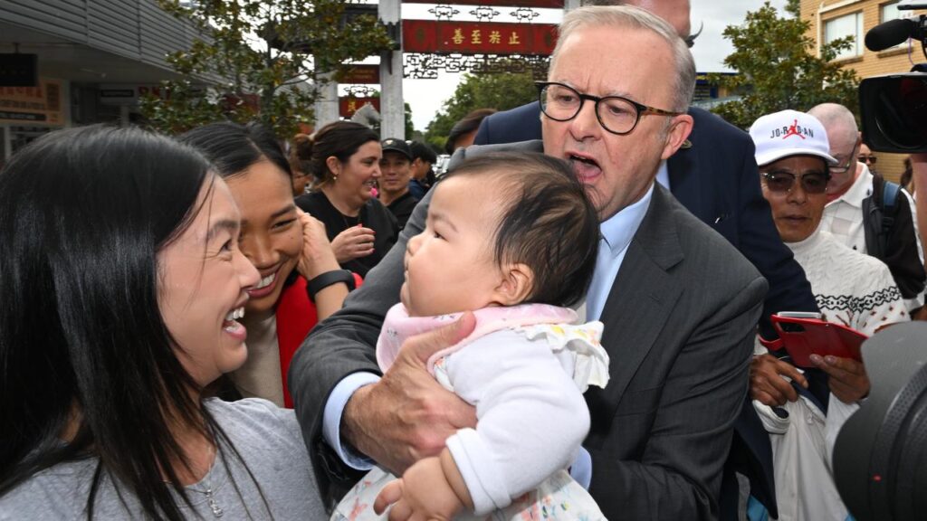 Early in the campaign, Anthony Albanese was averaging one baby interaction a day.