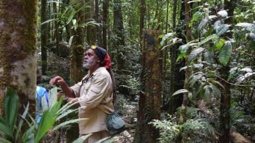 INDIGENOUS TOURISM
