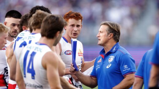 AFL DOCKERS BULLDOGS