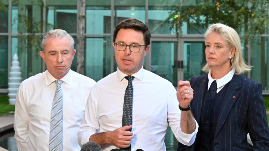 The Nationals’ Kevin Hogan, David Littleproud and Bridget McKenzie plan to go it alone for now.