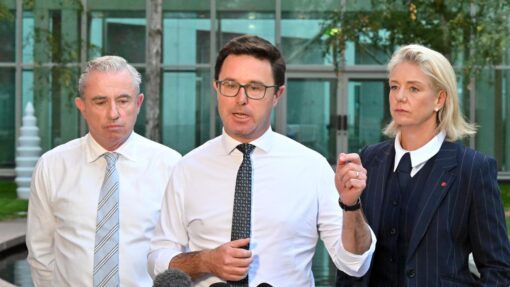 NATIONAL PARTY LEADERSHIP