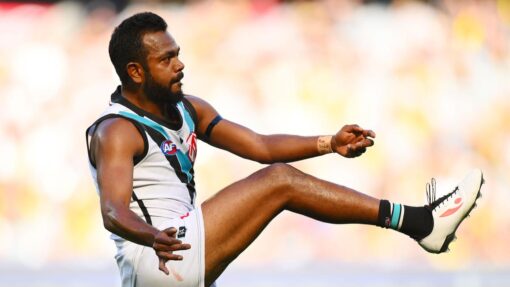 AFL TIGERS POWER