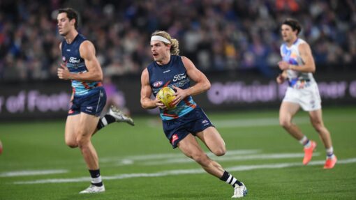AFL CATS BULLDOGS