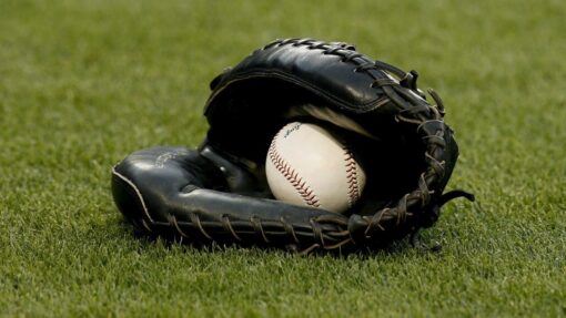 USA BASEBALL MLB