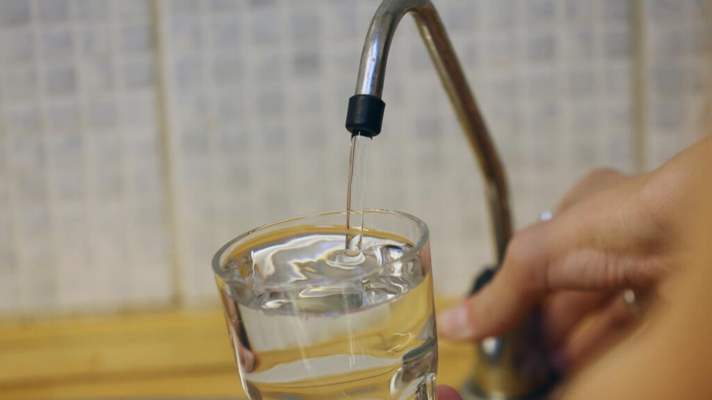 High-level contamination was detected in the Blue Mountains drinking water catchment in mid-2024.
