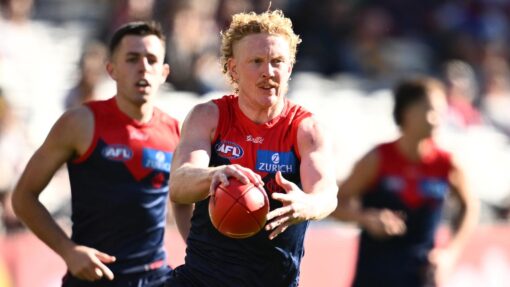AFL DEMONS HAWKS