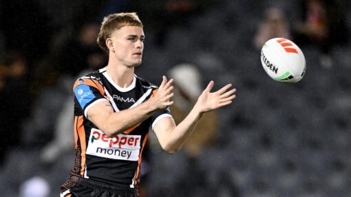 NRL TIGERS RABBITOHS