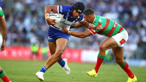 NRL BULLDOGS RABBITOHS