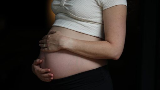PREGNANCY STOCK