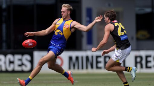 AFL SIMULATION EAGLES TIGERS