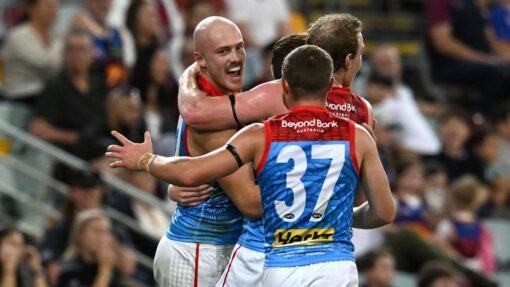 AFL LIONS DEMONS