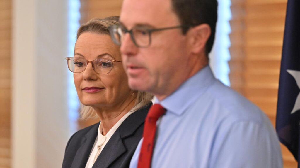 New leader Sussan Ley says the coalition will look at energy policy “as a whole going forward”.