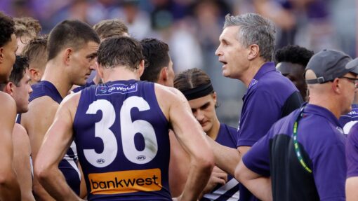AFL DOCKERS BULLDOGS