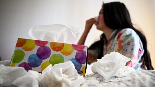 INFLUENZA FLU STOCK