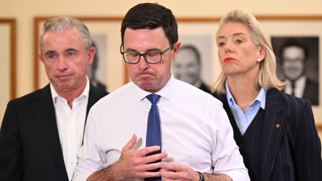 David Littleproud pulled the Nationals out of the coalition over policy issues with the Liberals.