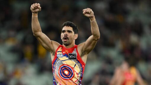 AFL HAWKS LIONS