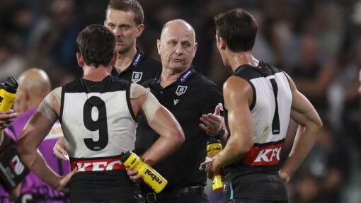 AFL POWER HAWKS