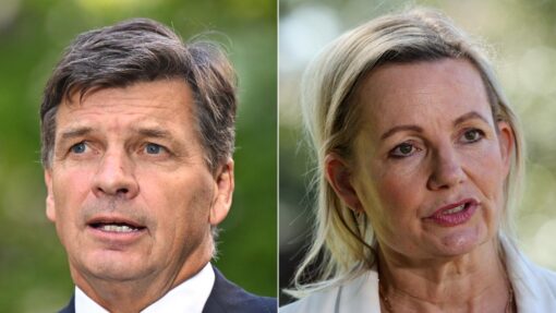 SUSSAN LEY ANGUS TAYLOR DIPTYCH
