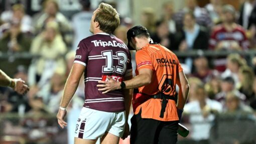 NRL SEA EAGLE DRAGONS