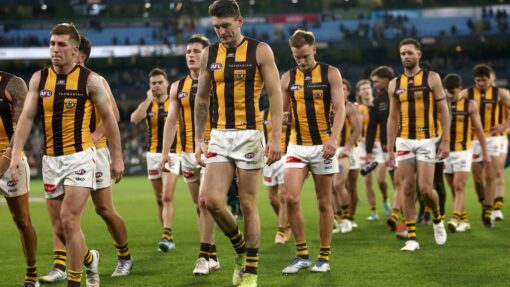 AFL MAGPIES HAWKS