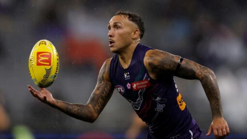 AFL DOCKERS POWER
